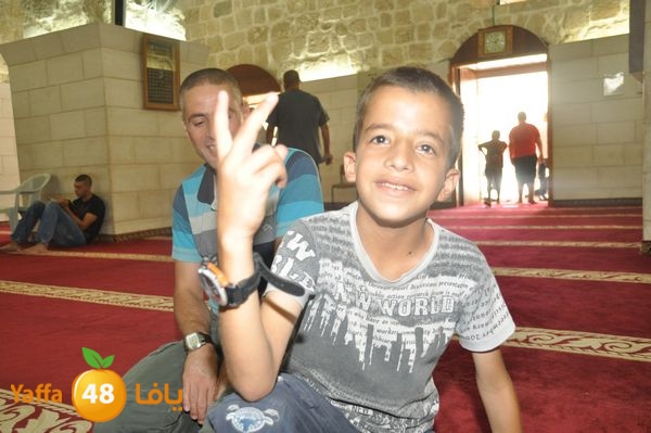 bazsalah lud 712 (47).JPG